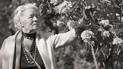 Selma Lagerlöf