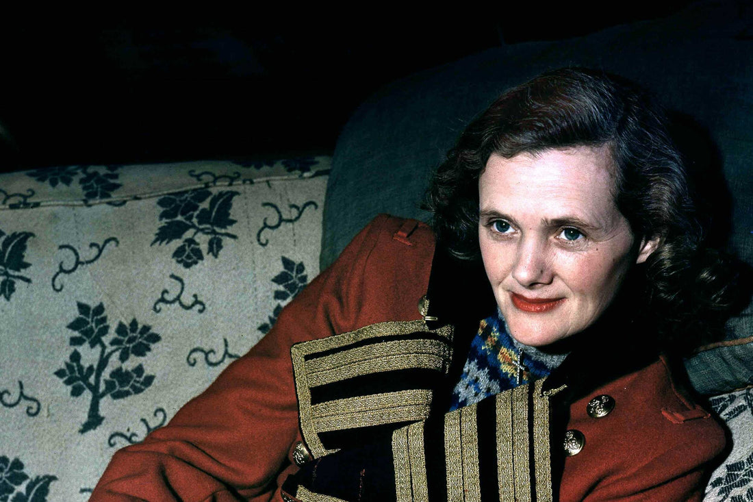 Mistress of Shadows: Daphne du Maurier and the Haunting of English Fiction
