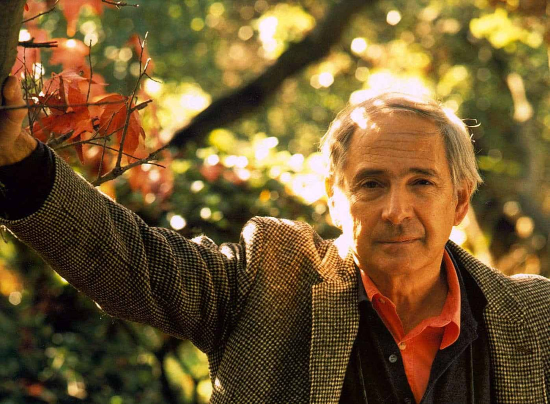 John Searle's Philosophical Investigations Into Wittgenstein's Logic of Language
