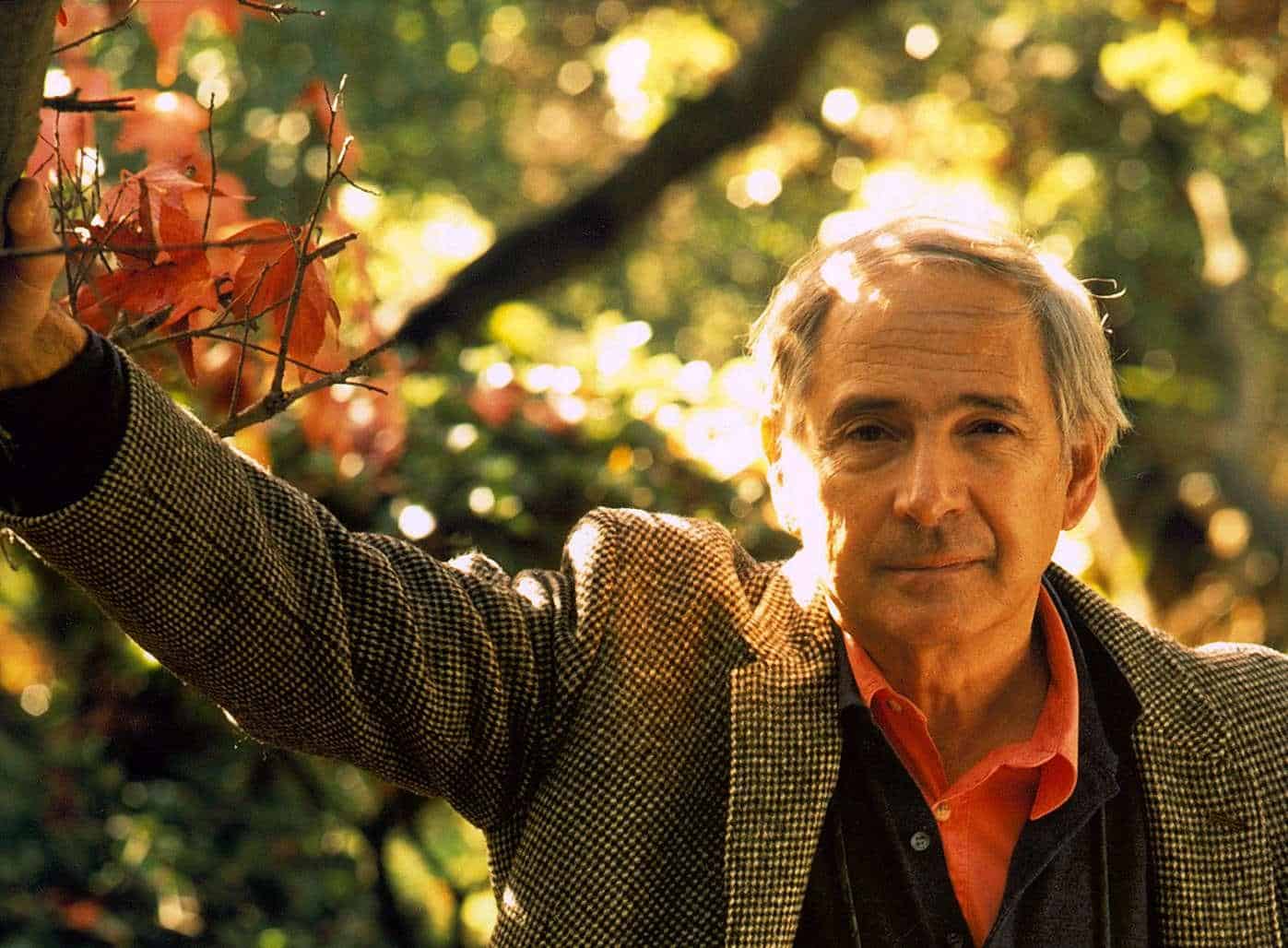 John Searle's Philosophical Investigations Into Wittgenstein's Logic of Language