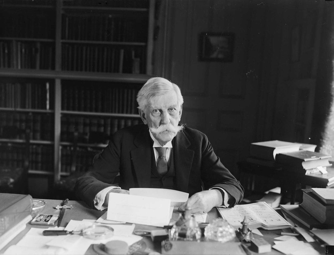 The Law as Life: Oliver Wendell Holmes Jr. and the Measure of a Mind