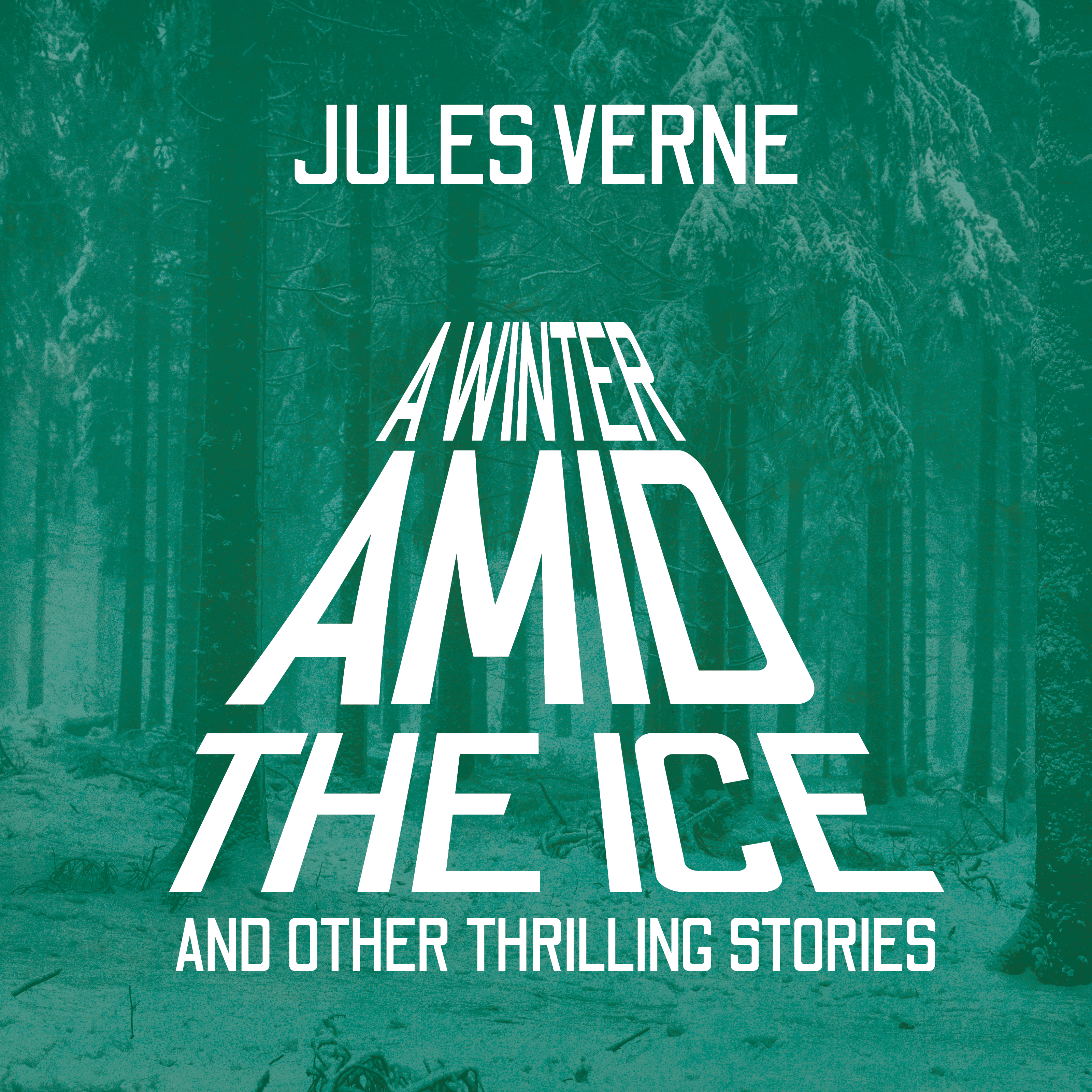 A Winter Amid the Ice