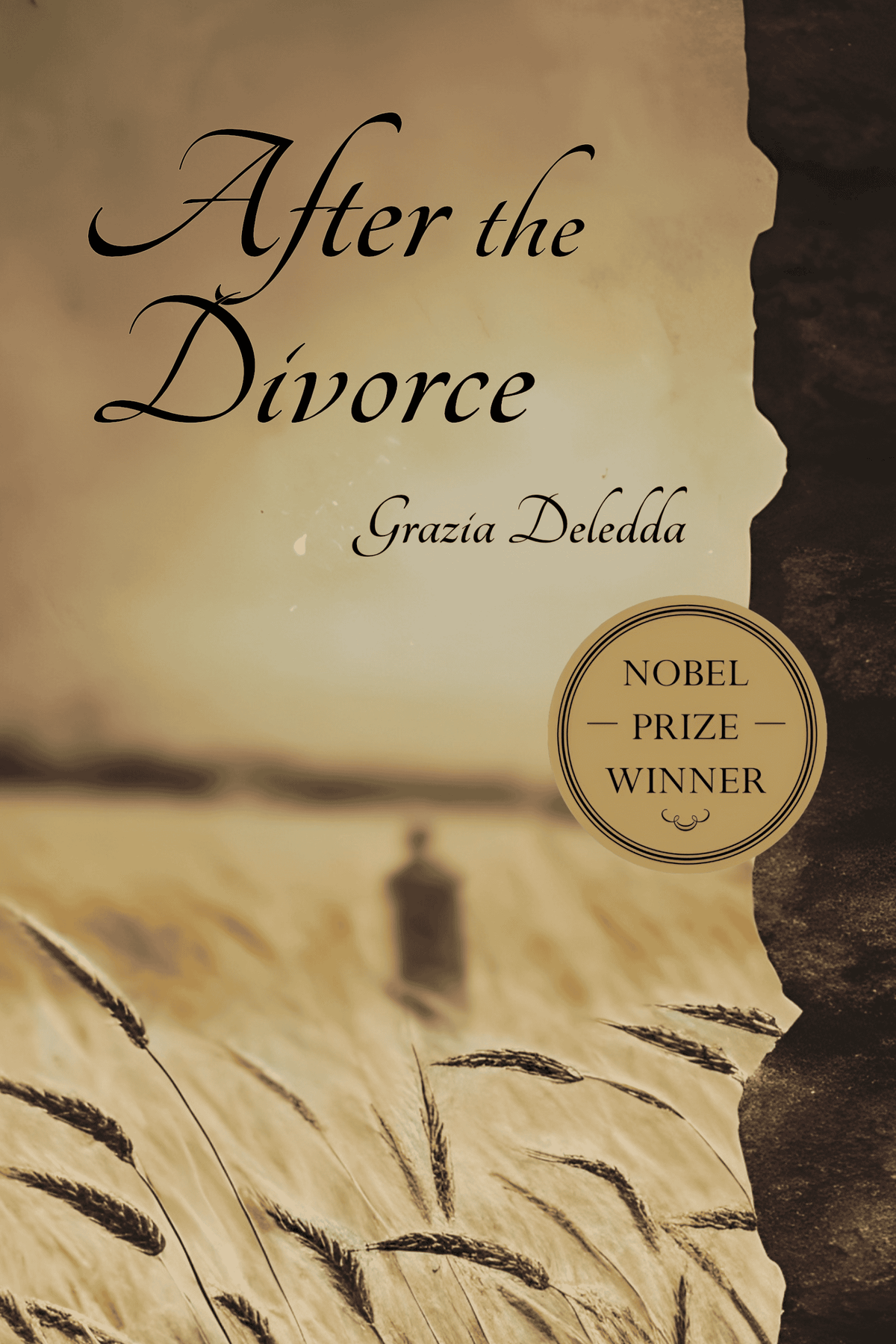 After the Divorce — Print + Ebook bundle cover