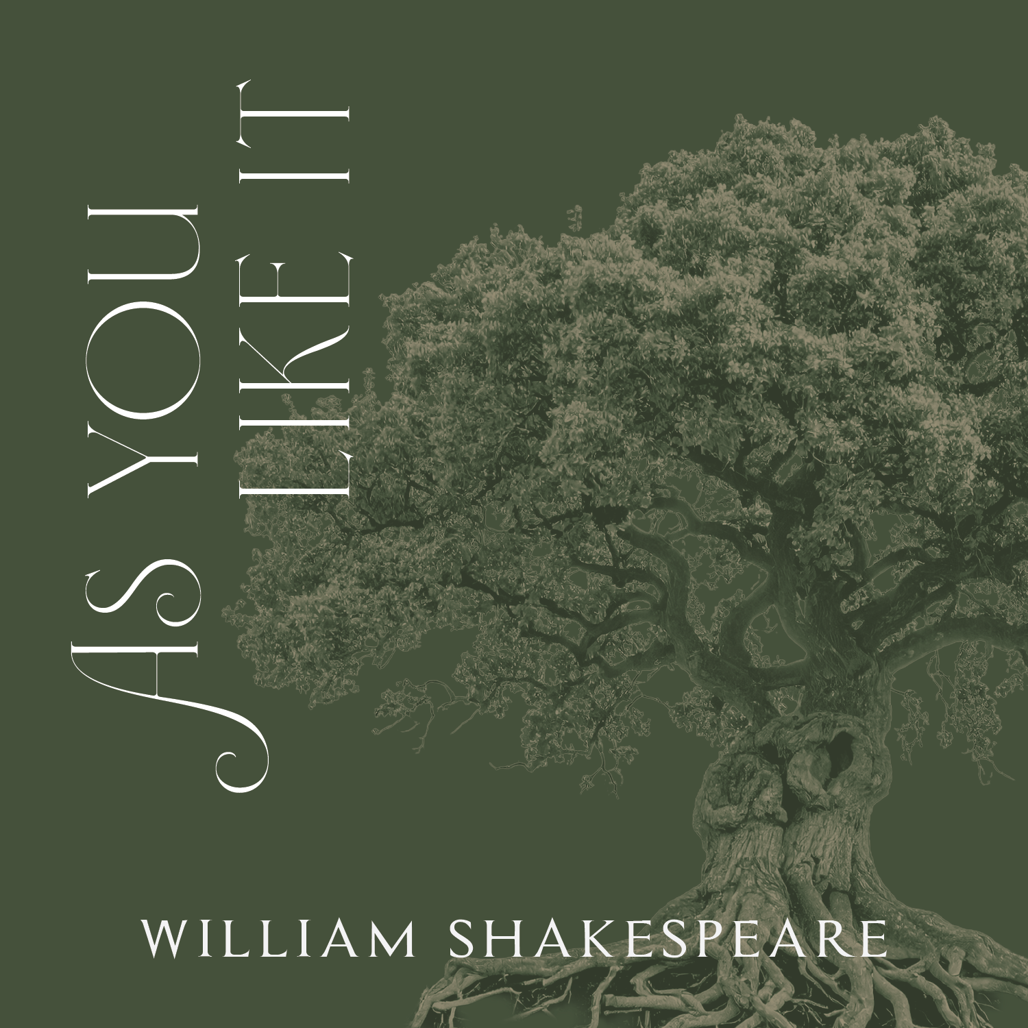 As You Like It