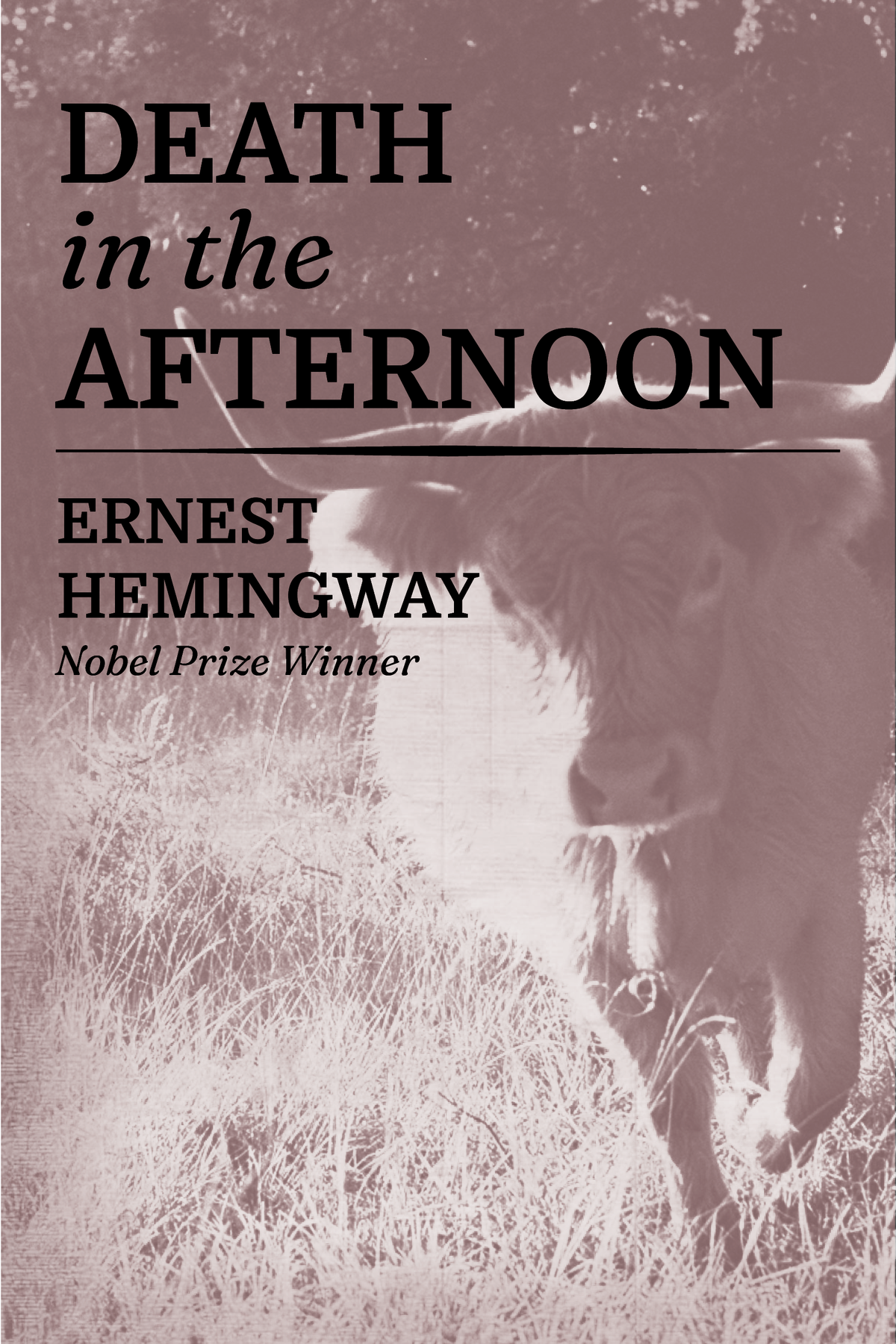 Death in the Afternoon — Print + Ebook bundle cover