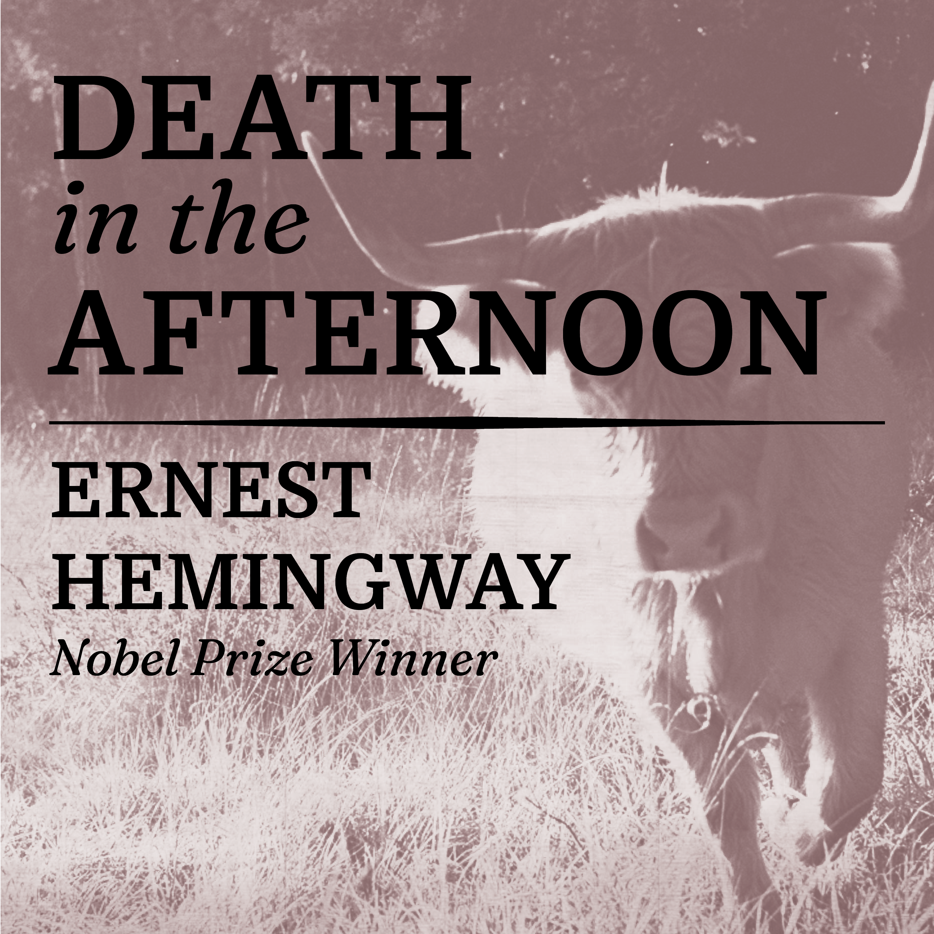 Death in the Afternoon