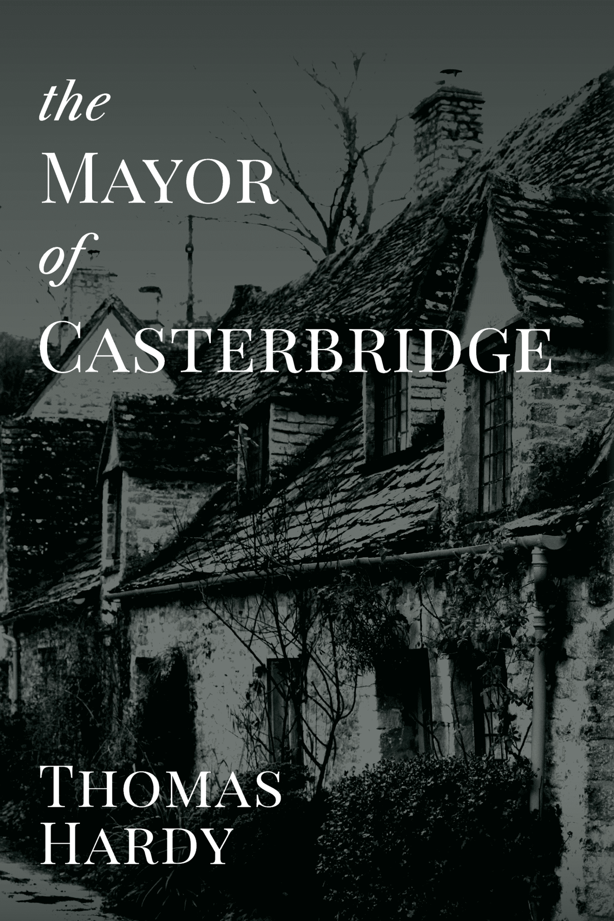 The Mayor of Casterbridge — Print + Ebook bundle cover