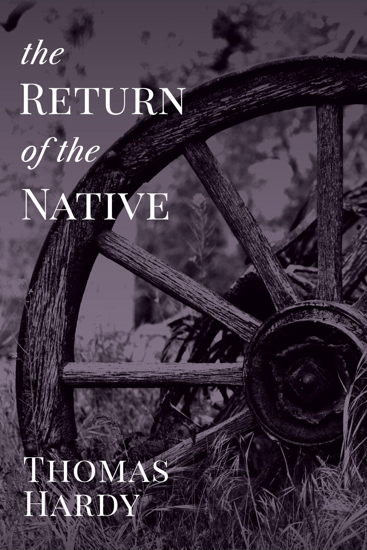 The Return of the Native — Print + Ebook bundle cover
