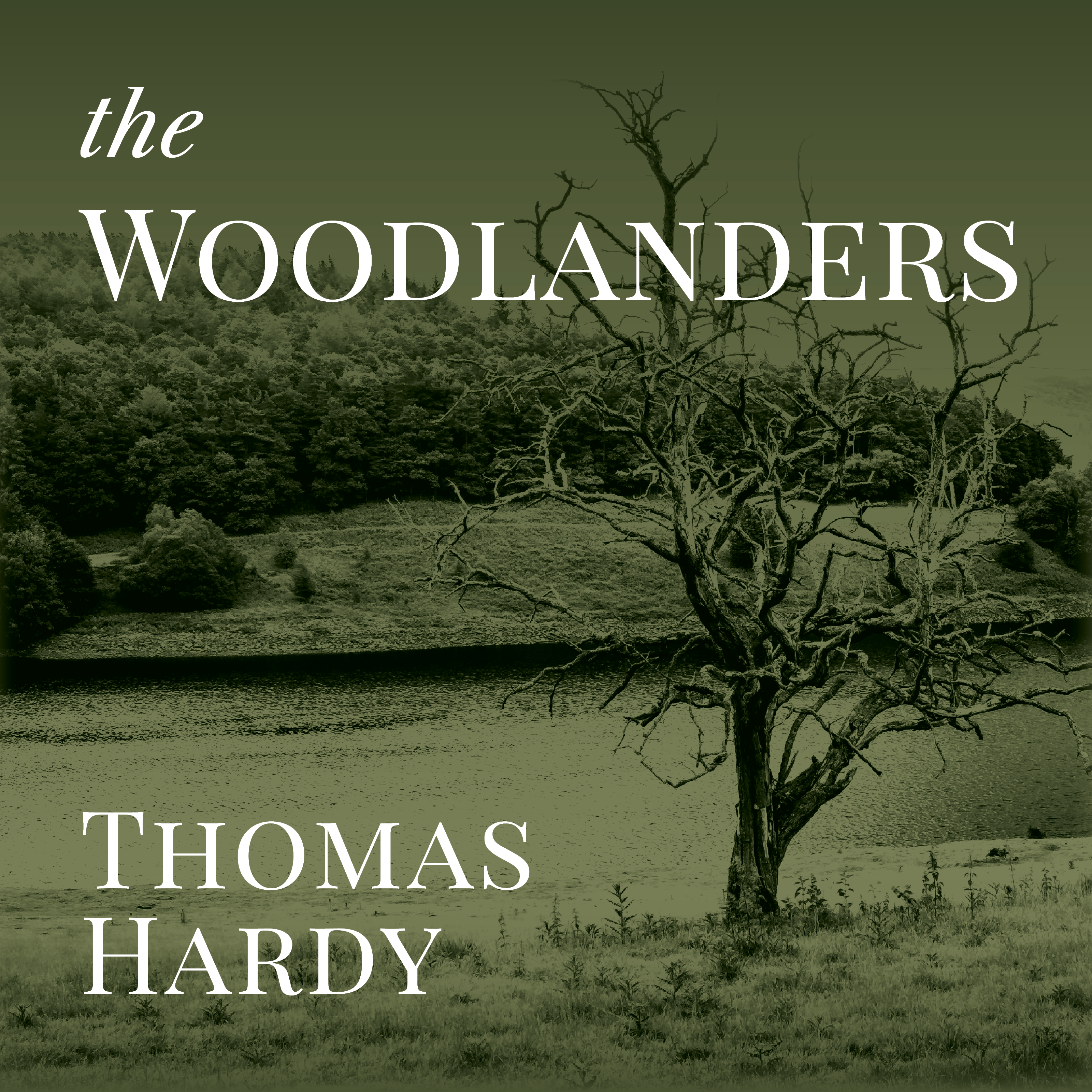 The Woodlanders