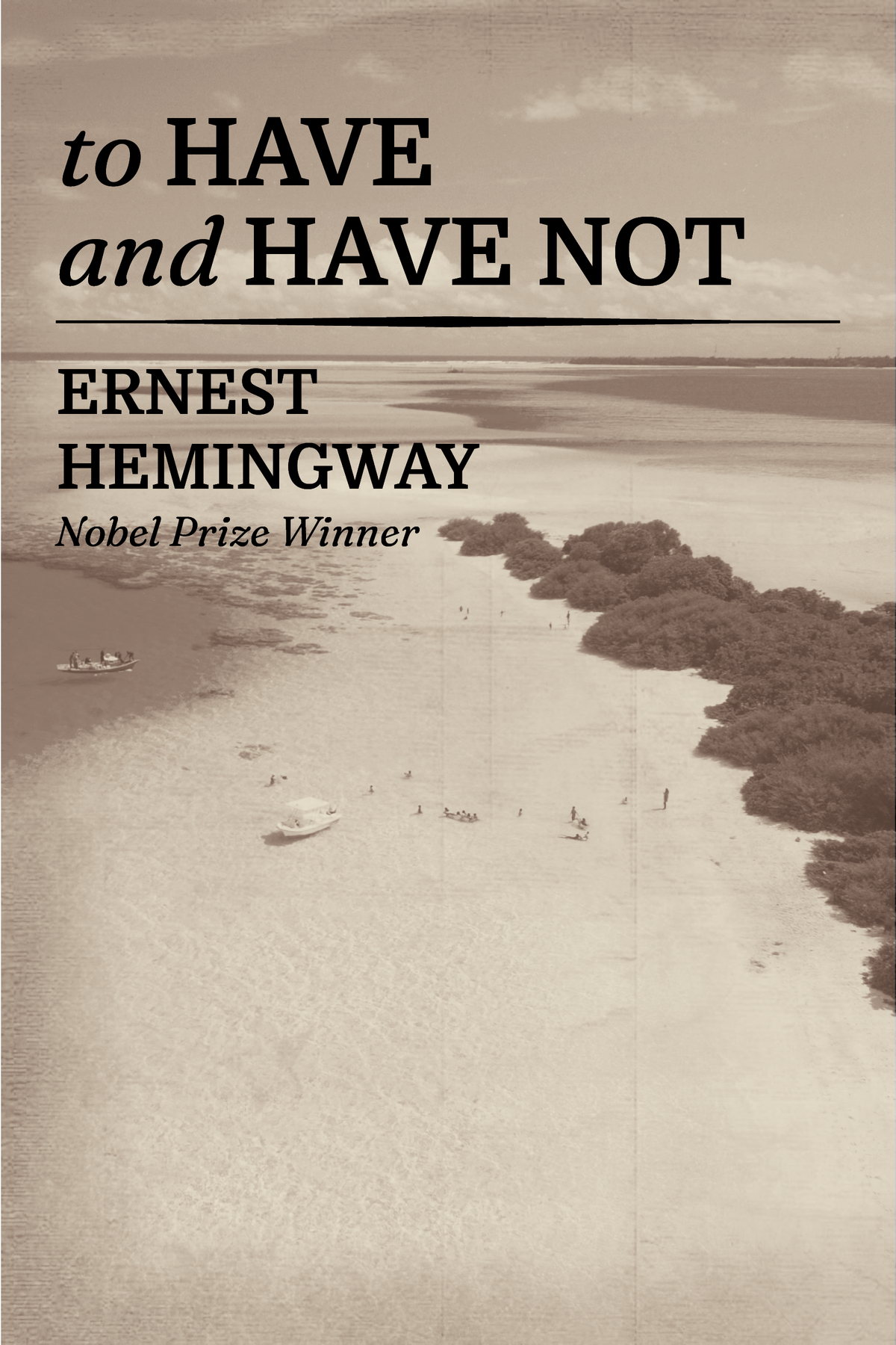 To Have and Have Not — Print + Ebook bundle cover