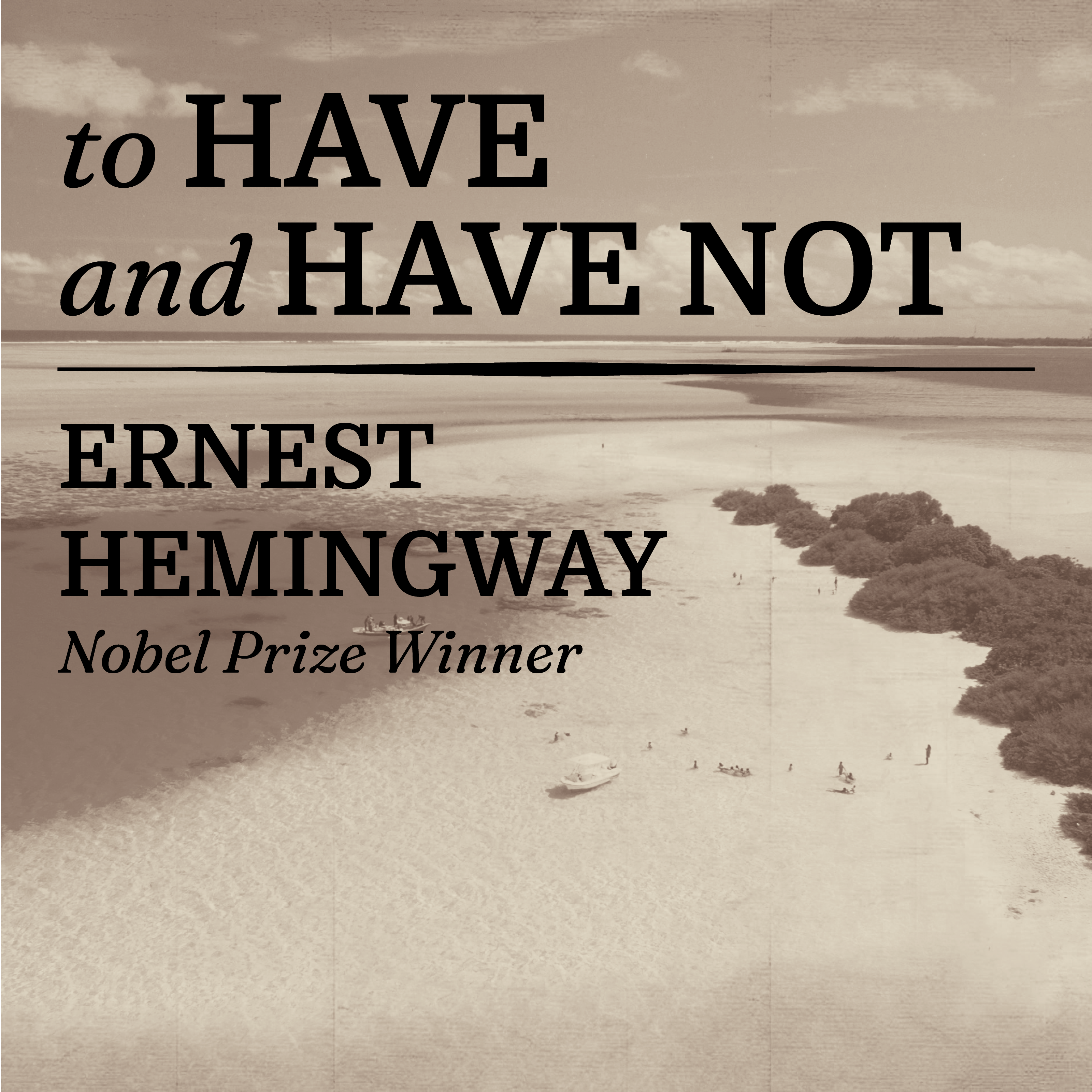To Have and Have Not