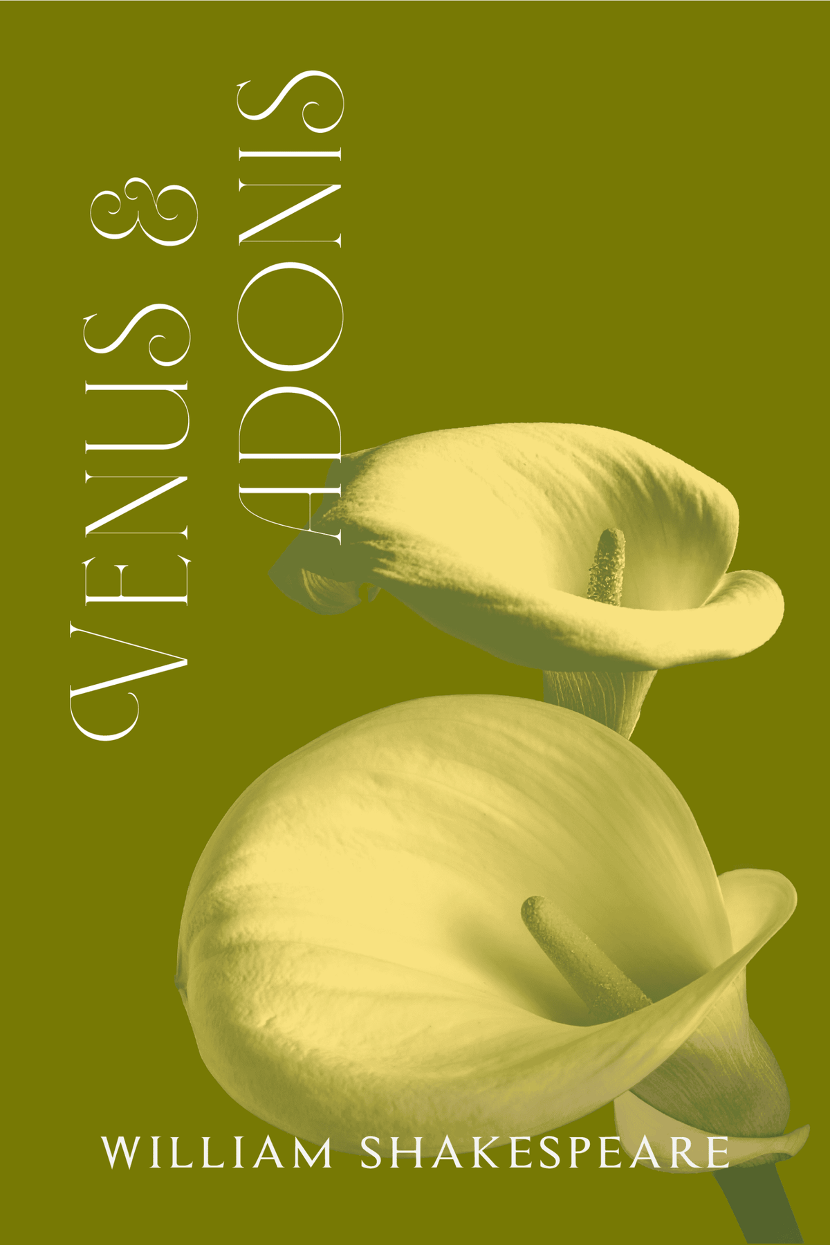 Venus and Adonis — Print + Ebook bundle cover
